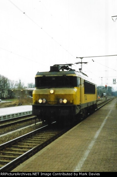 NS1 1744